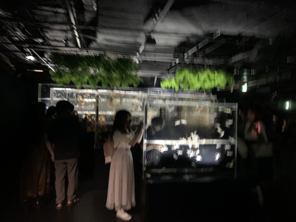 金魚の滝