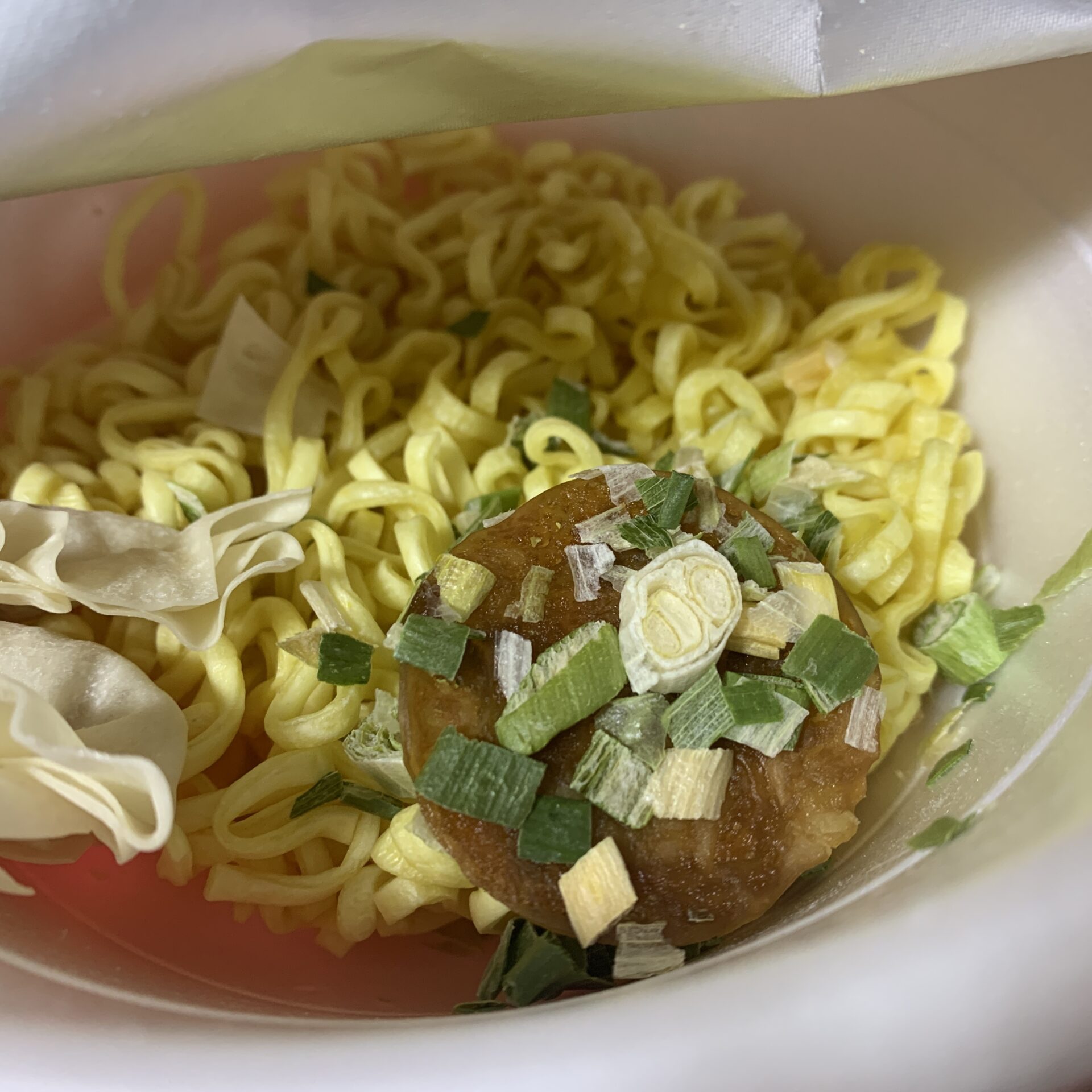 明星 別格麺神 京都鶏白湯　かやく