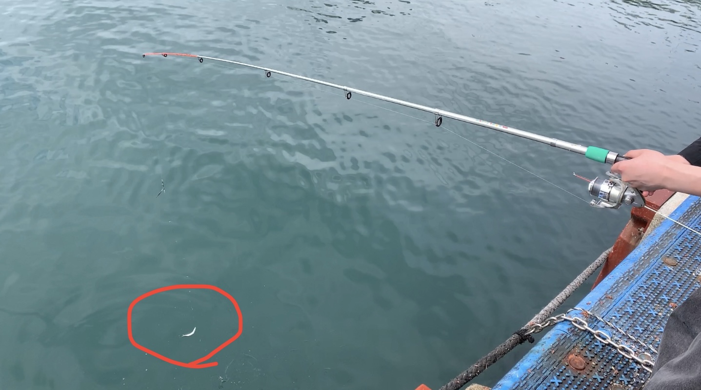 サビキ釣り