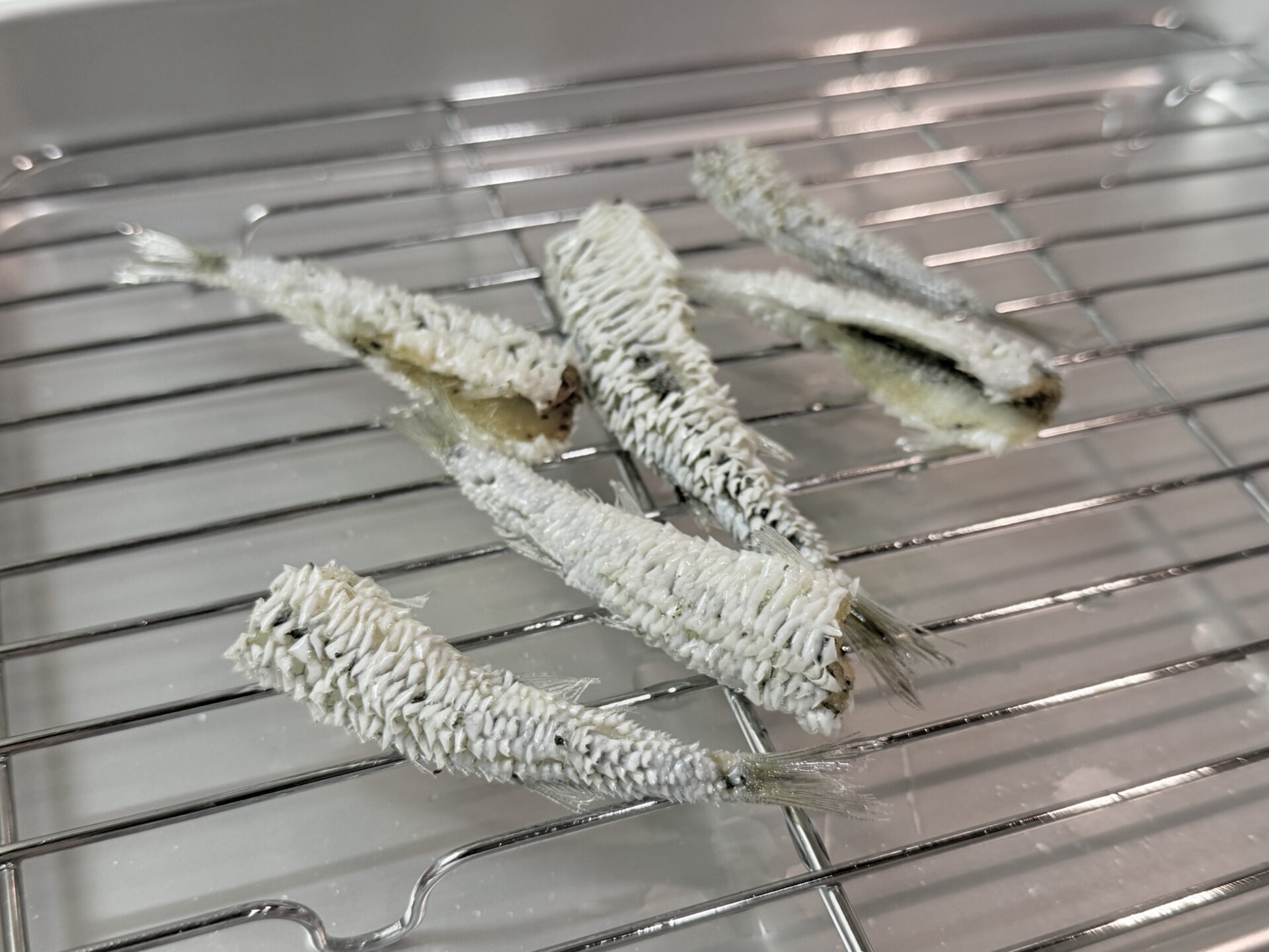 トウゴロイワシの素揚げ