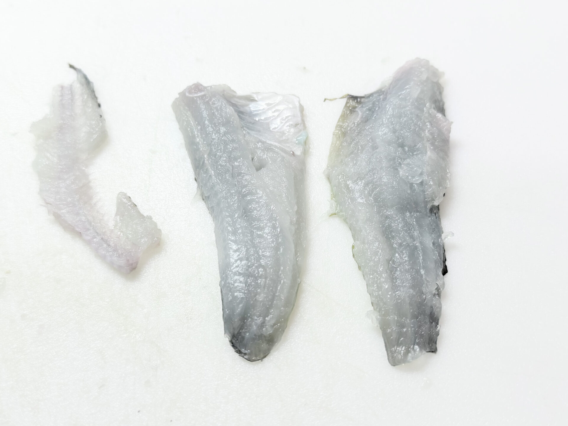 アナハゼの刺身